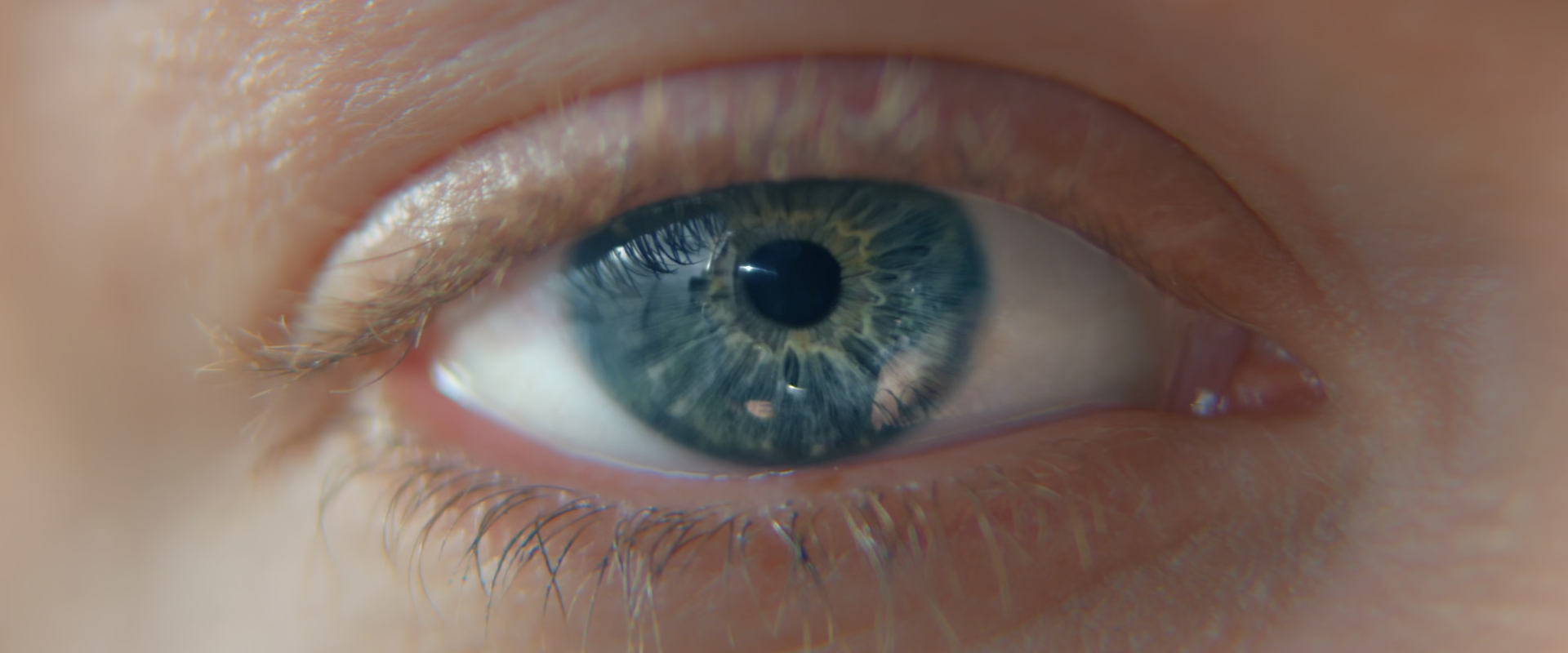 TARTARE - 100% vegetal — film still