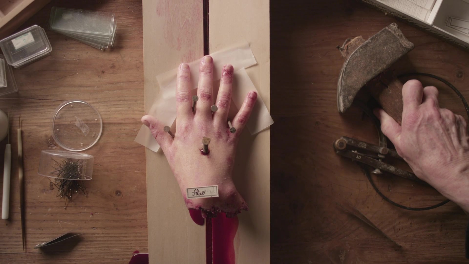 THE BUTTERFLY ROOM-teaser — film still